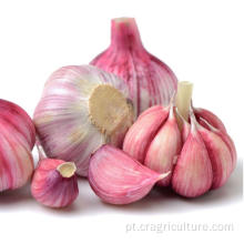 Garlic Farm Top dentes de alho frescos